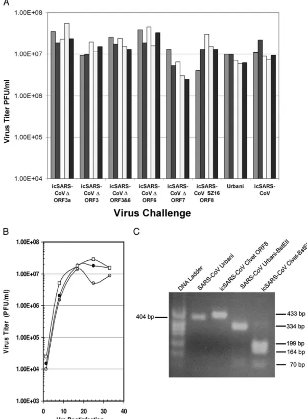 FIG. 8. In vivo replication of recombinant SARS-CoV. Six-week-old BALB/c mice were inoculated intranasally with 50 ␮l inoculate containing 2 ⫻ 10 5 PFU of wild-type and various recombinant viruses