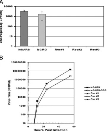 Fig. 6. Leader– body TRS junctions in WT and chimeric recombinant viruses.