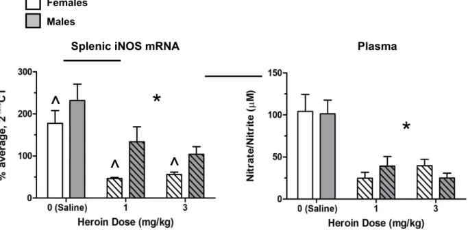 Figure 3.  Both male and female Lewis rats administered heroin (1 mg/kg or 3 mg/kg) have disrupted NO production to an LPS challenge, as indicated by significantly lower splenic iNOS mRNA expression   (A) and plasma nitrate/nitrite levels (B)
