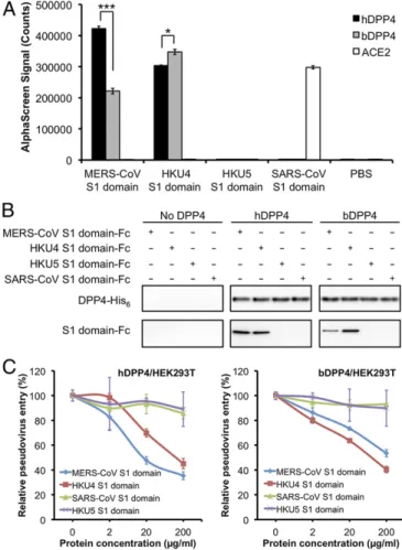 Fig. 1. Binding interactions between HKU4 spike and DPP4. (A) AlphaScreen assay showing the direct binding interactions between the coronavirus spike S1 domains and hDPP4 or bDPP4