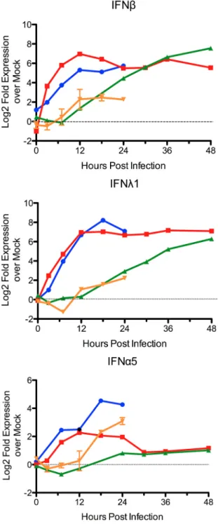 FIG 2 Delayed IFN induction mediates ISG antagonism by CoVs. Individual gene RNA expression of IFNB1, IFNL1, and IFNA5 molecules derived from microarray following H5N1-VN1203 (blue), H1N1-09 (red), SARS-CoV (green), or MERS-CoV (orange) infection.