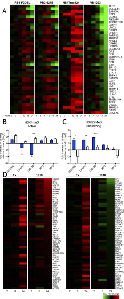FIG 5 H5N1-VN1203 mediates control over the global ISG re- re-sponse primarily through the activity of NS1
