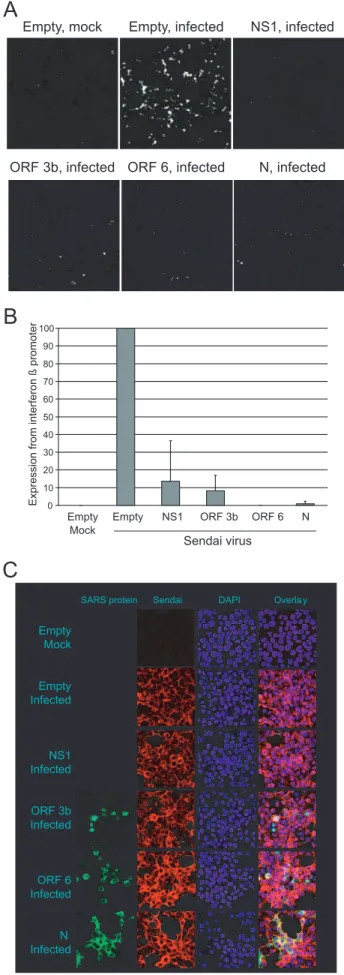 FIG. 3. SARS-CoV ORF 3b, ORF 6, and N proteins inhibit pro- pro-duction of interferon