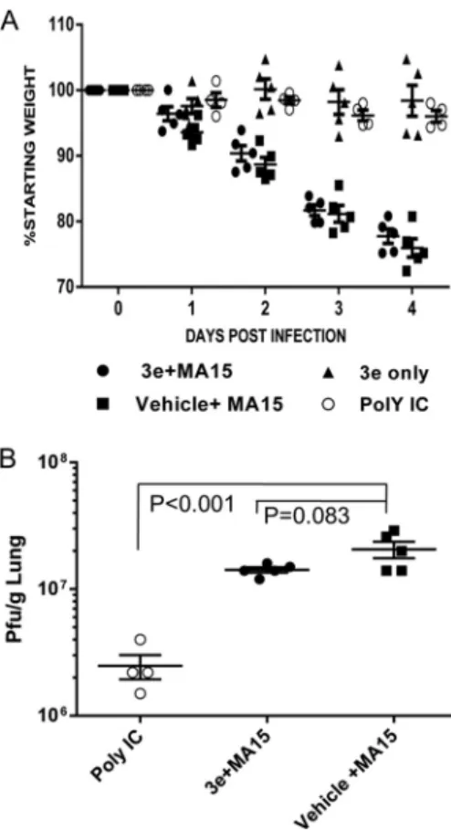 FIG 6 Evaluation of PLpro inhibitor 3e in the SARS-CoV MA15 mouse model. (A) Five 8-week-old BALB/c mice from each group were administered either a single dose of 20 ␮g poly(I·C) (Poly IC) i.n