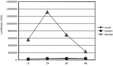 Figure 2. Lack of an IFN beta induction by SARS-CoV
