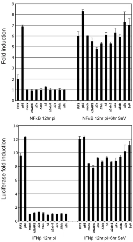 Figure 7. SARS does not block NFκB and IFNβ promoter induction