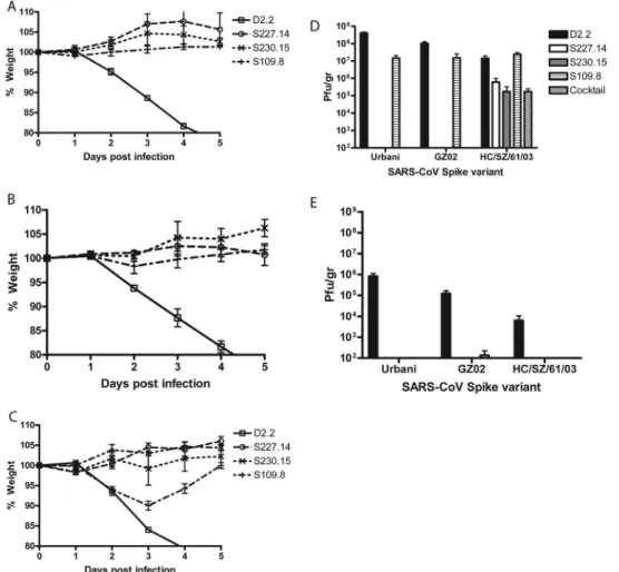 FIG. 4. Prophylactic treatment of lethal SARS-CoV infections in 12-month-old BALB/c mice with 250 ␮g of cross-neutralizing MAbs