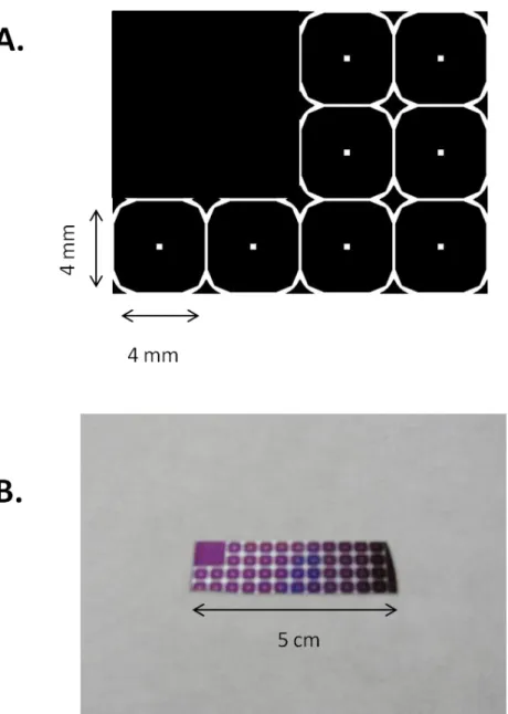 FIGURE 2.7: A.) Using this design 4 mm x 4 mm nanochips were photolithographically  patterned onto the silicon/silicon nitride substrate
