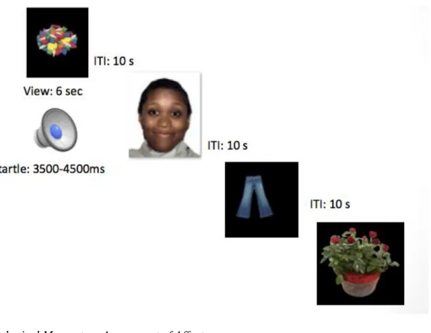 Figure 5:  Illustration of Psychophysiology Viewing Task Procedure 