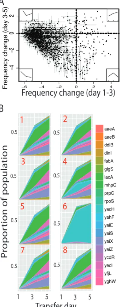 Figure 2.2. Most genes are deleterious and quickly become undetectable, although a consistent minority of  tested  genes  increase  in  frequency  over  the  competition  period