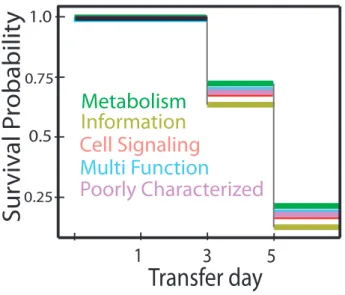 Figure  2.3.  Information  genes  have  the  poorest  survival.  Survival  analysis  shows  high  fitness  cost  of  Information  genes  compared  to  Metabolic  genes