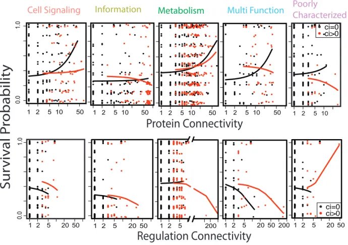 Figure 2.4.  Unlike genes from all other functional categories, Informational gene survival is independent of  protein and regulatory network connectivity and clustering