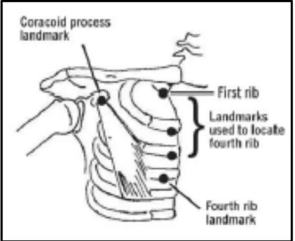 Figure 5: Pectoralis Minor Length 