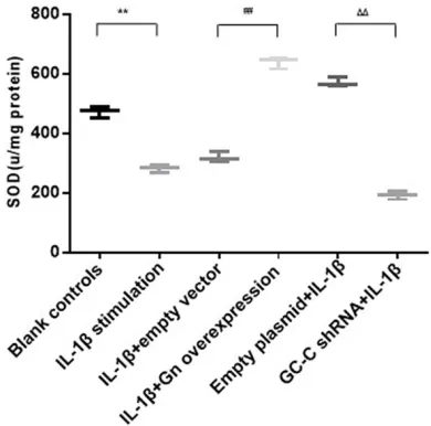 Figure 2. Immunoblot pictures of Gn, Ugn and GC-C in cells with different treatments. The levels of proteins for Gn, Ugn and GC-C were determined in cells transfected with the Gn overexpression vectors and corresponding empty vectors (A), the GC-C shRNA pl