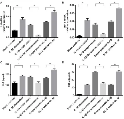 Figure 4. The levels of IL-8 and TNF-α in different groups. The mRNA expression of IL-8 (A) and TNF-α (B) were de-tected in cells by qRT-PCR