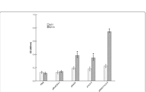 Figure 3 Measurement of specific IgG antibodies in sera of immunized mice.determined by ELISA