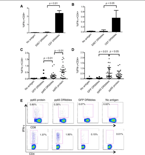 Figure 2 DRibbles were efficient antigen carriers for the activation of human CD8+ T cells and CD4+ T cells