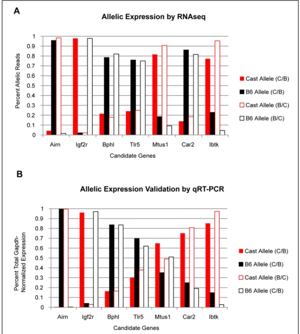 Figure 2.3  Validation of Allelic Expression Bias in Candidate Genes.  A. The proportion of allele- allele-specific reads detected from RNA-seq experiments in two different TS cell lines show heavy 