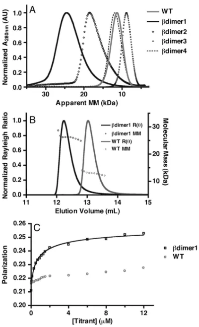 Figure 2.3: Experimental determination of molecular mass in solution. (A) Size-exclusion chromatography (Superdex 75) of the designs and wild-type protein