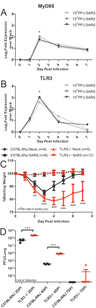 FIG 1 Two discrete TLR pathways regulate SARS-CoV pathogenesis. (A and B) Profiles from microarray analysis of MyD88 (A) and TLR3 (B) RNA  expres-sion results in 20-week-old C57BL/6J mice infected with 10 3 , 10 4 , or 10 5 PFU of SARS-CoV indicate that di