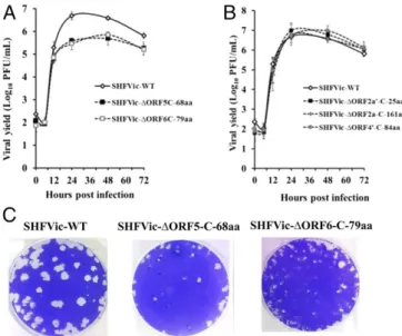 Fig. 3. Effect of mutagenesis of the start codons of the C-terminal ORFs encoded by identified sg mRNAs on virus production in MA104 cells