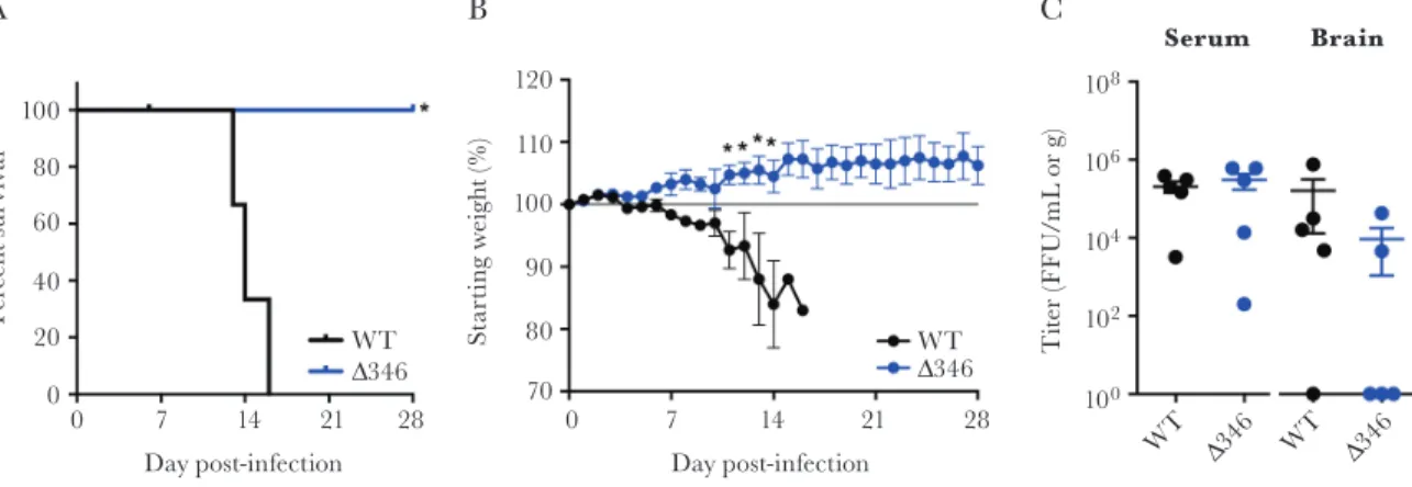 Figure 6.  Δ346 mutant is attenuated in a mouse model of Zika virus disease. A–C, Eleven-week old type I/II interferon receptor knockout mice were infected with 10 3  C6/36  focus forming units via footpad injection and monitored for (A) survival (log-rank