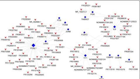 Fig. 4 Top 20 terms in the gene enrichment and pathway analysis of differentially expressed lncRNAs induced by Eg-psc infection.process