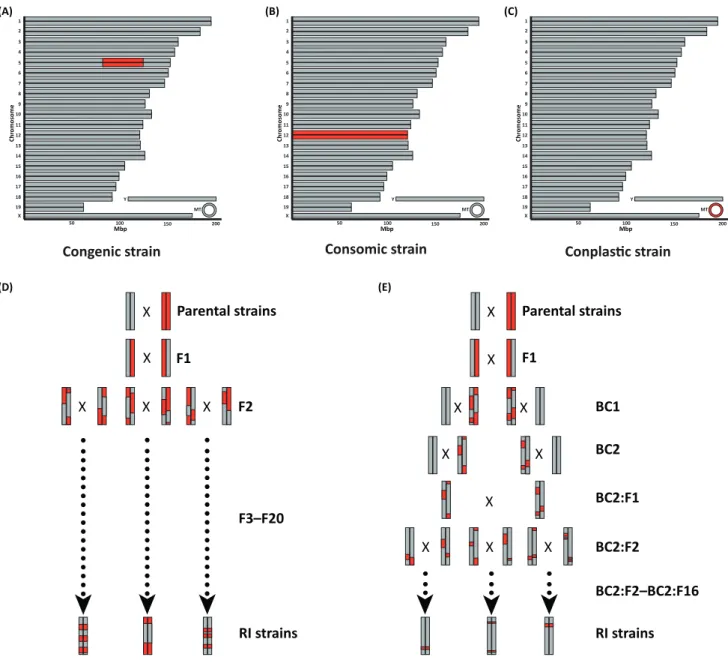 Figure  1. Various Genetic Mouse Model Approaches to Narrow Quantitative Trait Locus (QTL) Regions