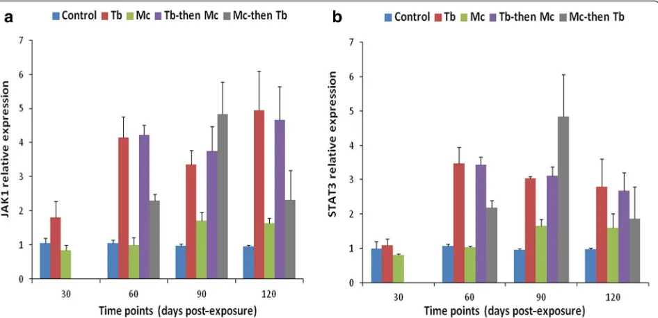 Fig. 4 Relative gene expression of JAK-1 (a) and STAT-3 (b) in posterior kidneys during single and co-infections