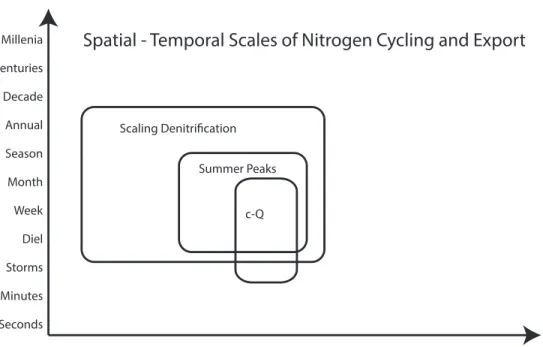Figure 1.3 Spatial and temporal template for dissertation chapters. Scaling Denitification  (Chapter 2), Summer Peaks (Chapter 3), and concentration-discharge (c-Q) patterns in  Chapter 4