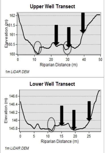 Figure 2.2. Upper and Lower Riparian Transect cross-sections with sensor locations. 