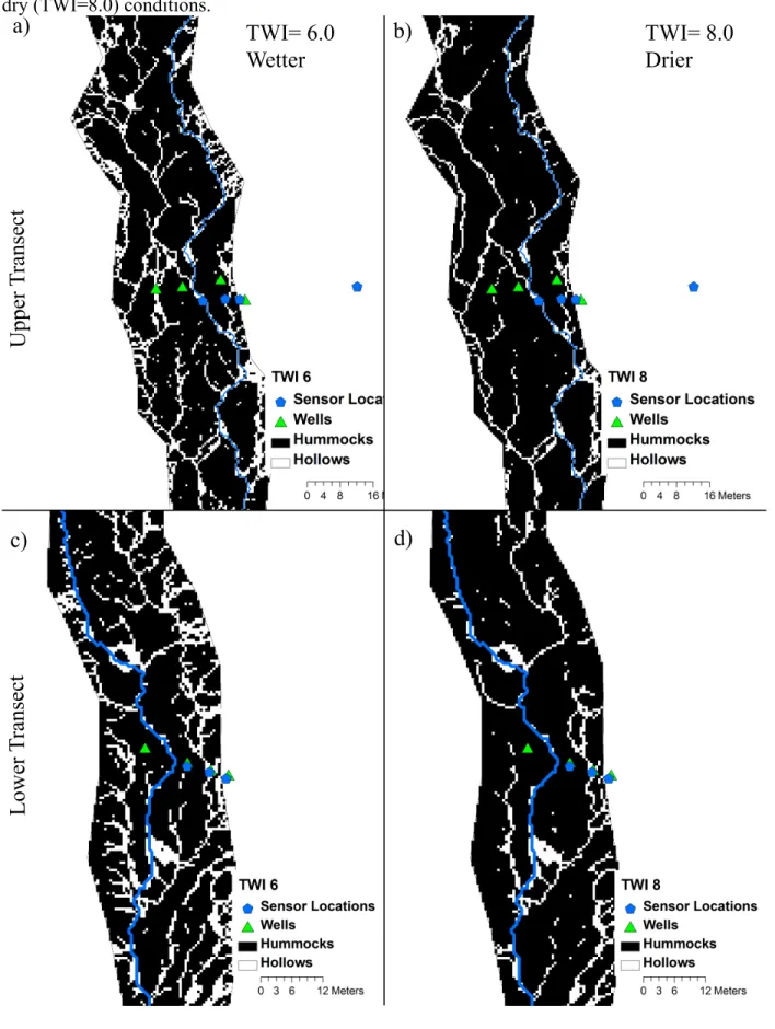 Figure 2.4. Riparian hummock and hollow delineation near the upper riparian transect computed from  TWI thresholds selected to match field-based estimation of spatial extents during wet (TWI=6.0) and  dry (TWI=8.0) conditions