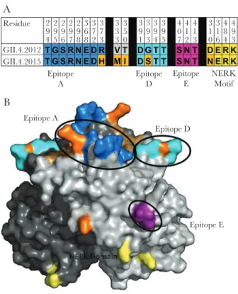 Figure 2.  Capsid residues defining antigenic and ligand-binding sites differ be- be-tween GII.4 2012 and GII.4 2015