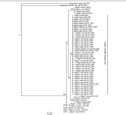 Fig. 2 Phylogenetic tree comparing the geographical distribution between mtDNA cox1 gene haplotypes of Echinococcus multilocularis