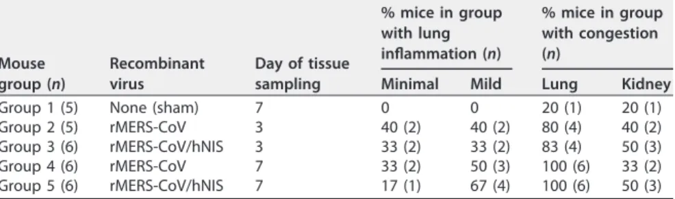 TABLE 1 Pathological summary of mice Mouse group (n) Recombinantvirus Day of tissuesampling % mice in groupwith lunginﬂammation (n) % mice in groupwith congestion(n)