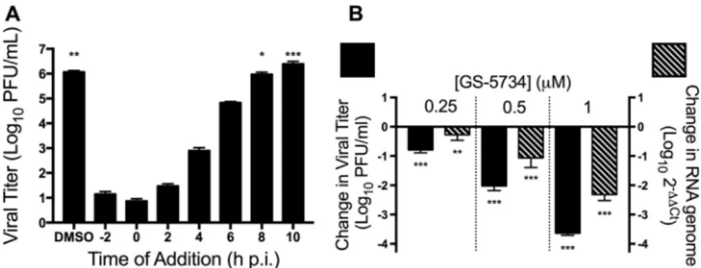 FIG 3 GS-5734 acts at early times postinfection to decrease viral RNA levels. (A) MHV viral titer after single-cycle infection and treatment with 2 ␮M GS-5734 at the indicated times postinfection