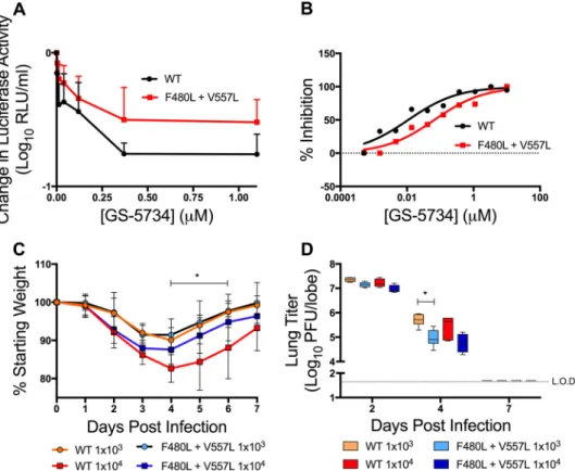 FIG 7 MHV resistance mutations confer resistance and are attenuated in SARS-CoV. (A) Change in luciferase activity normalized to vehicle control of WT or F480L ⫹ V557L SARS-CoV containing the NanoLUC reporter