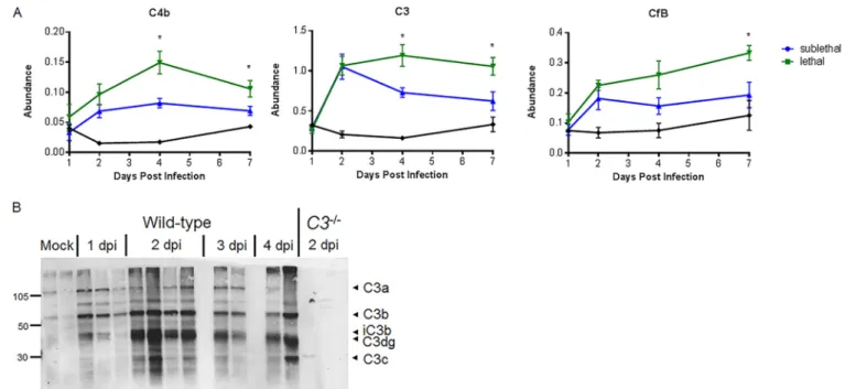 FIG 1 Omics characterization of complement pathway expression and activation. (A) Protein abundance at 1, 2, 4, and 7 days postinfection relative to that in mock-treated samples