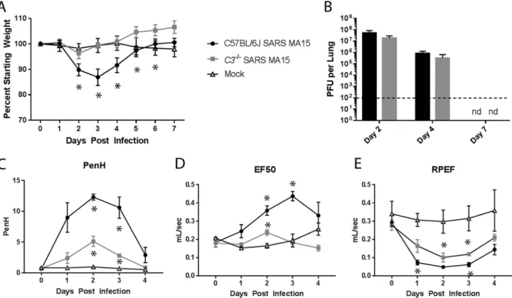 FIG 2 Characterization of C3 knockout mice. (A) Weight loss of SARS-CoV MA15-infected C57BL/6J mice, C3 –/– mice, or mock-infected mice were measured over time