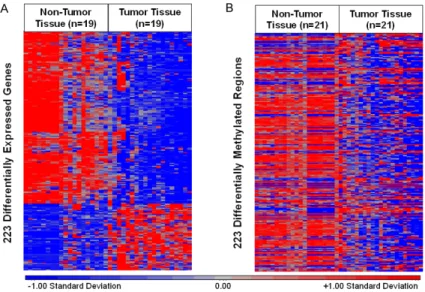 Figure 2. A. A total of 223 DEGs in n = 19 matched controls and cases. Red  indicates relatively higher expression