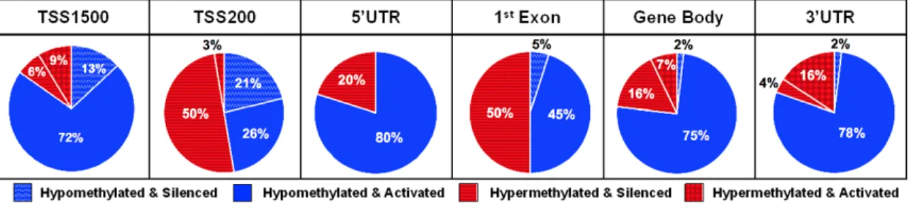 Figure 3. Intragene regional distribution of hypo- and hypermethylation of DMRs and DEGs and directionality of CpG  methylation and mRNA expression correlation among TCGA urothelial tumors (n = 408)