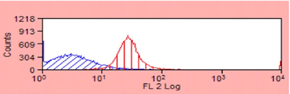 Figure 2. Flow cytometry analysis of immunomagnetically separated Sca-1+ PPCs. MACS ©    separation generates a reliable Sca-1+ cell population