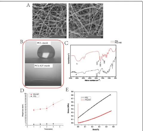 Figure 2 The characteristics of PCL/GT.PCL and PCL/GT scaffolds; SEM images of electrospun PCL/GT (A: a) and PCL (A: b) membranes; (B) images of water droplets on (C) FTIR spectra of electrospun membranes; (D) Degradation behavior of PCL/GT composite mesh;