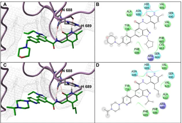 Figure 2.1: EZH2 homology model: UNC1999 and EPZ005687 have similar  modes of binding