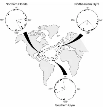 Figure 1.3. Diagram of hatchling responses to magnetic fields replicating those from three widely separated  geographic locations (represented by back dots) along the north Atlantic gyre current system (indicated by the  arrows on the map)