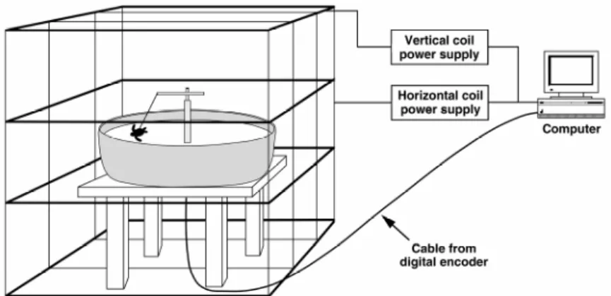 Figure 2.1. Schematic of experimental apparatus, including the orientation arena, magnetic coil structure, and  data acquisition system