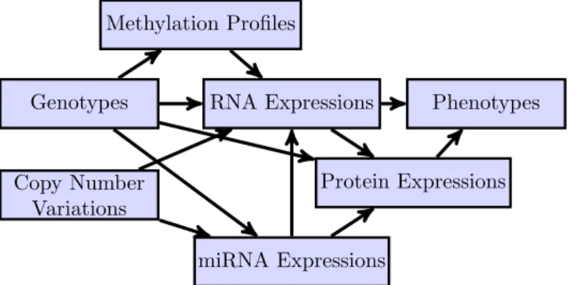 Figure 1.1. Types of Data Measured in TCGA and Their Potential Relationships.