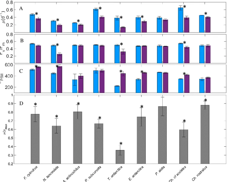 Figure 1.3. A-D. Iron effect. Comparison of specific growth rate (A), F v :F m  (B), and σ PSII  (C) in +FeSL and –FeSL conditions