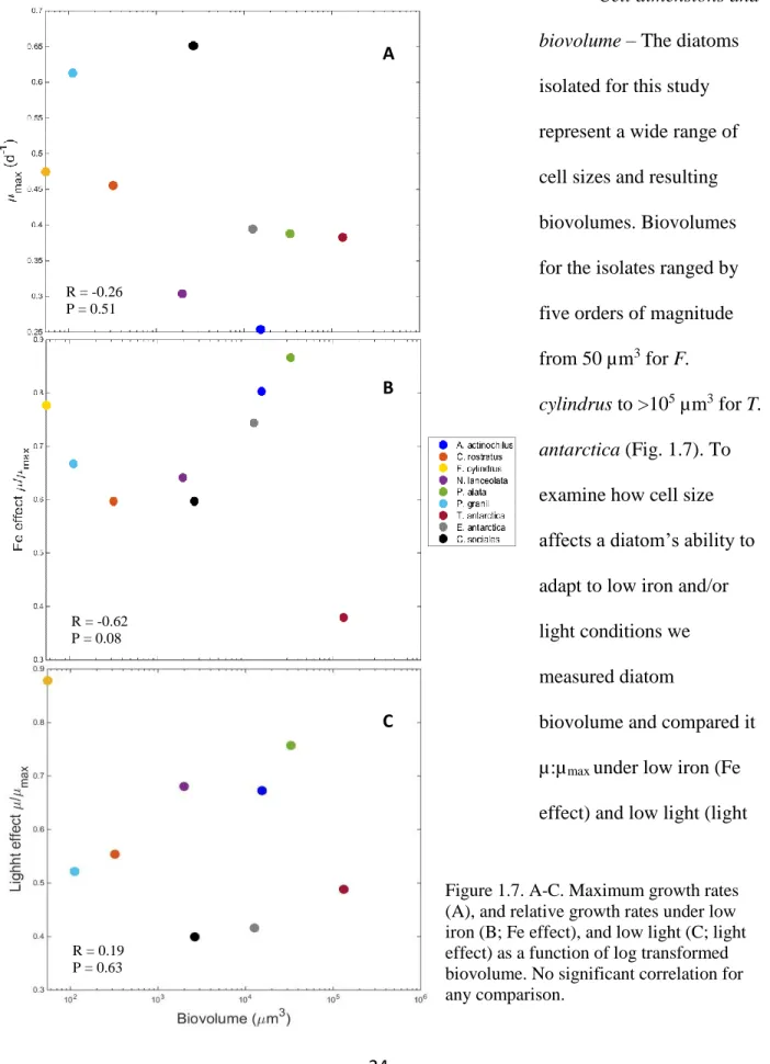 Figure 1.7. A-C. Maximum growth rates  (A), and relative growth rates under low  iron (B; Fe effect), and low light (C; light  effect) as a function of log transformed  biovolume