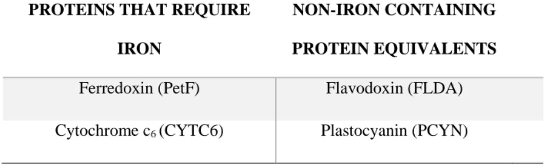 Table 2.1. Summary of protein substitutions in the photosynthesis electron transport chain 
